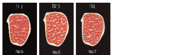 ①脂肪交雑（霜降り）