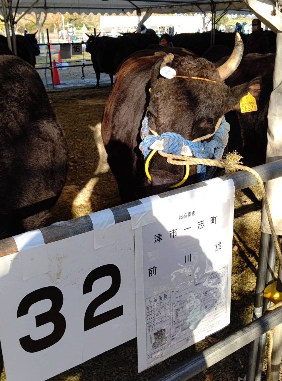 ブログ｜株式会社前川農場