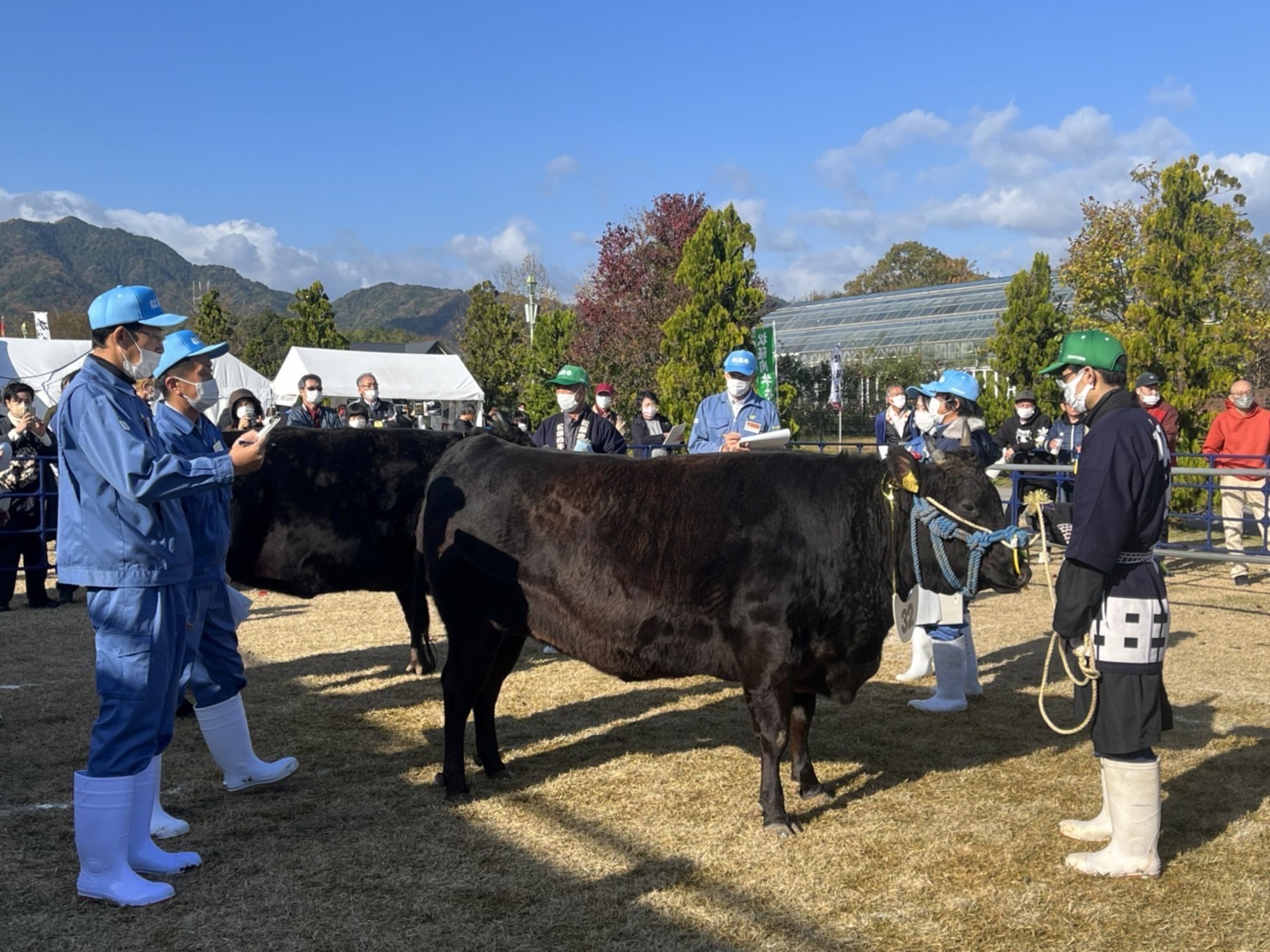 2022年11月27日㈰ 第71回松阪肉牛共進会 株式会社前川農場