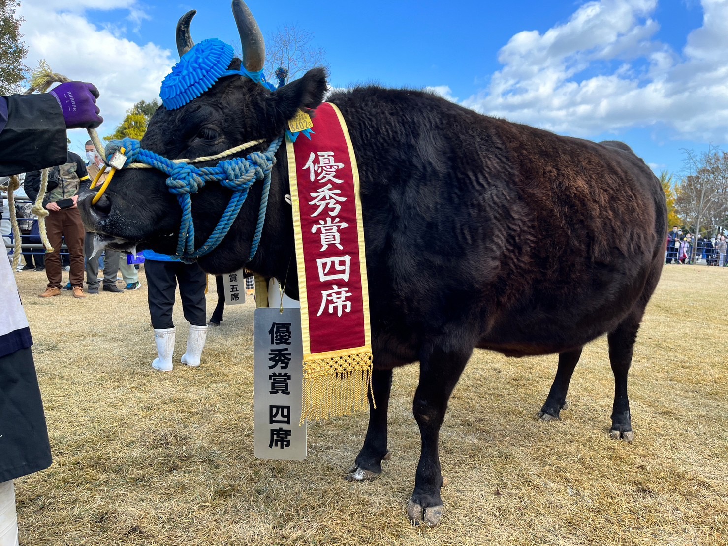 2022年11月27日㈰ 第71回松阪肉牛共進会 株式会社前川農場